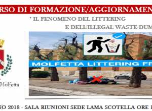 Il fenomeno del Littering 28 giugno 2018 1