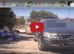 Immagine 3 video Molfetta Pulita