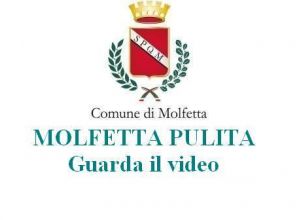 Video rifiuti abbandonati definitivo del definito