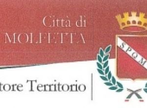 settore territorio