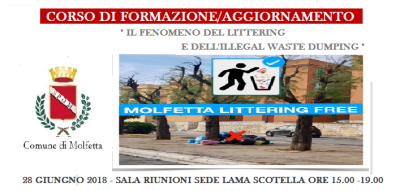 Il fenomeno del Littering 28 giugno 2018 2