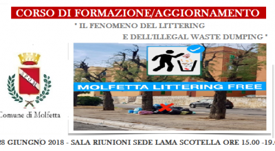 Il fenomeno del Littering 28 giugno 2018 2