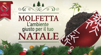 Natale 2014