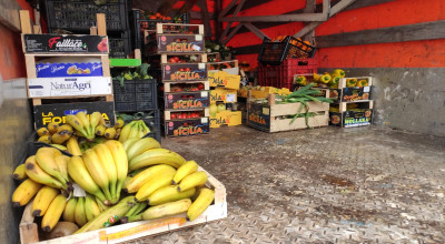 Polizia locale sequestra merce a fruttivendolo abusivo. Frutta devoluta alle ...