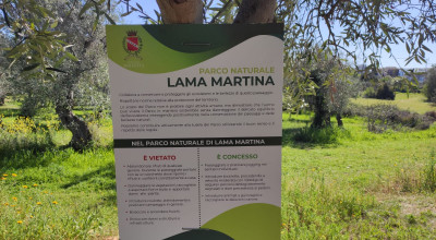 Lama Martina, bene comune di tutti i molfettesi. Un manifesto per proteggere ...