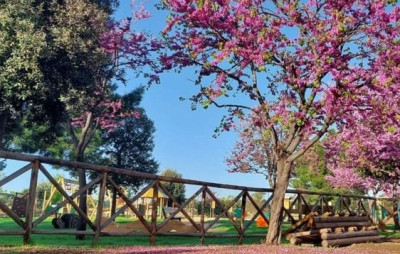 Una piccola biblioteca urbana nel Baden Powell. Le parole del Sindaco Minervini