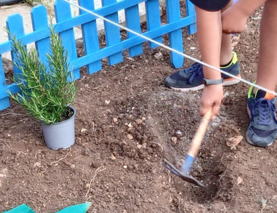 Progetto Colto e mangiato. Riparte l’Orto dei bambini. Al via le adesioni