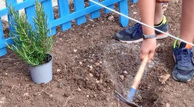 Progetto Colto e mangiato. Riparte l’Orto dei bambini. Al via le adesioni