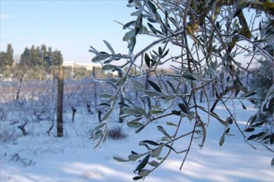 Gelate 2018: vicini agli agricoltori