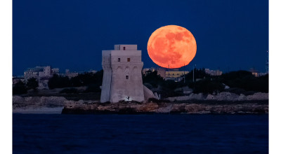 Flower moon, Torre Calderina, la foto di Molfetta che fa il giro del mondo gr...